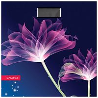 ���� ��������� ����������� Energy EN-419G �� 180��, ��� 100��, 30*30�� (2*��� � �����) 3843